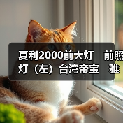 夏利2000前大灯　前照灯（左）台湾帝宝　雅酷（图3）
