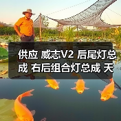 供应 威志V2 后尾灯总成 右后组合灯总成 天津一汽（图1）
