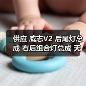 供应 威志V2 后尾灯总成 右后组合灯总成 天津一汽（图3）