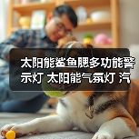 太阳能鲨鱼腮多功能警示灯 太阳能气氛灯 汽车装饰灯 机盖装饰灯(图2) 太阳能鲨鱼腮多功能警示灯 太阳能气氛灯 汽车装饰灯 机盖装饰灯(图2)