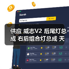 供应 威志V2 后尾灯总成 右后组合灯总成 天津一汽（图2）