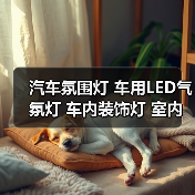 汽车氛围灯 车用LED气氛灯 车内装饰灯 室内脚底灯 ZY-615(图3) 汽车氛围灯 车用LED气氛灯 车内装饰灯 室内脚底灯 ZY-615(图3)
