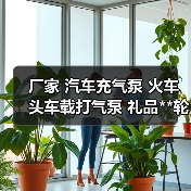 厂家 汽车充气泵 火车头车载打气泵 礼品**轮胎小气泵（图2）