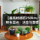 【最高时速超250km/h轿车盘点：速度与激情背后的真相】（图1）