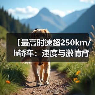 【最高时速超250km/h轿车：速度与激情背后的真相揭秘】（图3）