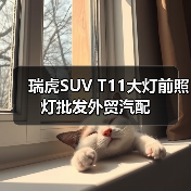瑞虎SUV T11大灯前照灯批发外贸汽配