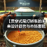 【贯穿式尾灯轿车的未来设计趋势与市场表现】（图2）