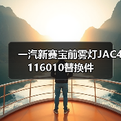 一汽新赛宝前雾灯JAC4116010替换件（图2）