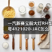 一汽新赛宝前大灯RH型号4121020-