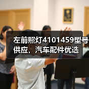 左前照灯4101459型号供应，汽车配件优选（图3）