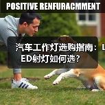汽车工作灯选购指南：LED射灯如何选？（图3）
