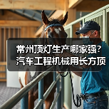 常州顶灯生产哪家强？汽车工程机械用长方顶灯精选（图4）