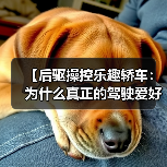 【后驱操控乐趣轿车:为什么真正的驾驶爱好者都在选择后驱?】(图4) 【后驱操控乐趣轿车:为什么真正的驾驶爱好者都在选择后驱?】(图4)