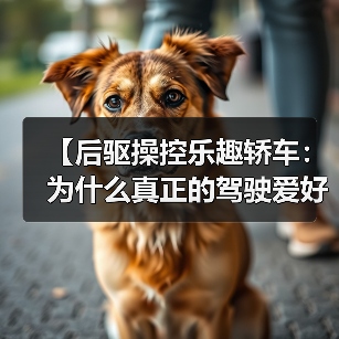 【后驱操控乐趣轿车:为什么真正的驾驶爱好者都在选择后驱?】(图1) 【后驱操控乐趣轿车:为什么真正的驾驶爱好者都在选择后驱?】(图1)
