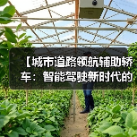 【城市道路领航辅助轿车:智能驾驶新时代的出行革命】(图1) 【城市道路领航辅助轿车:智能驾驶新时代的出行革命】(图1)