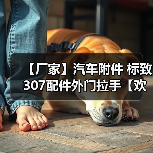 【厂家】汽车附件 标致307配件外门拉手