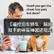 【遥控泊车轿车：解放双手的停车神器还能走多远？】（图3）