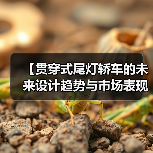 【贯穿式尾灯轿车的未来设计趋势与市场表现】（图2）