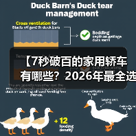 【7秒破百的家用轿车有哪些？2026年最全选购指南】（图3）