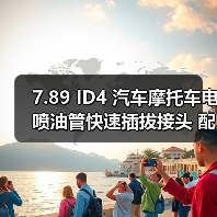 7.89 ID4 汽车摩托车电喷油管快速插拔接头 配尼龙管 6 x 1