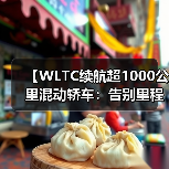 【WLTC续航超1000公里混动轿车：告别里程焦虑的终极解决方案】（图4）