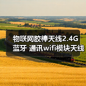 物联网胶棒天线2.4G 蓝牙 通讯wifi模块天线，ZigB胶棒（图2）
