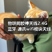 物联网胶棒天线2.4G 蓝牙 通讯wifi模块天线，ZigB胶棒（图3）