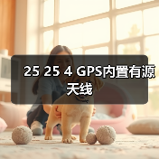 25 25 4 GPS内置有源天线（图3）