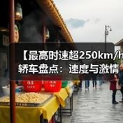 【最高时速超250km/h轿车盘点:速度与激情背后的真相】(图4) 【最高时速超250km/h轿车盘点:速度与激情背后的真相】(图4)