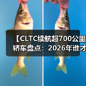 【CLTC续航超700公里轿车盘点:2026年谁才是长途出行王者?】(图3) 【CLTC续航超700公里轿车盘点:2026年谁才是长途出行王者?】(图3)