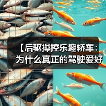 【后驱操控乐趣轿车:为什么真正的驾驶爱好者都在选择它?】(图4) 【后驱操控乐趣轿车:为什么真正的驾驶爱好者都在选择它?】(图4)