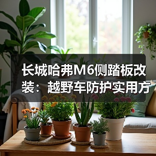 长城哈弗M6侧踏板改装：越野车防护实用方案（图4）