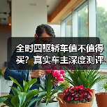 全时四驱轿车值不值得买?真实车主深度测评(图2) 全时四驱轿车值不值得买?真实车主深度测评(图2)
